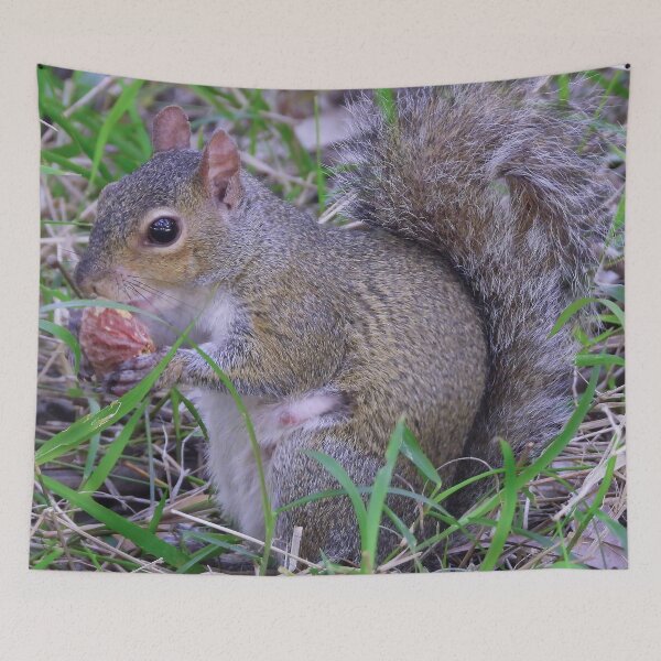 Item preview, Cute Squirrel #0034 designed and sold by Jeffrey Mask.