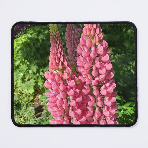 Item preview, Lupins in Sunshine designed and sold by Violaman.