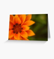 soft focus Greeting Card