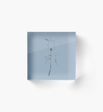 Seedhead Acrylic Block