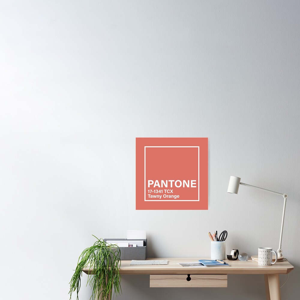 pantone 17-1341 TCX Tawny Orange Coffee Mug for Sale by princessmi-com