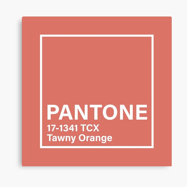 pantone 17-1341 TCX Tawny Orange Coffee Mug for Sale by princessmi-com