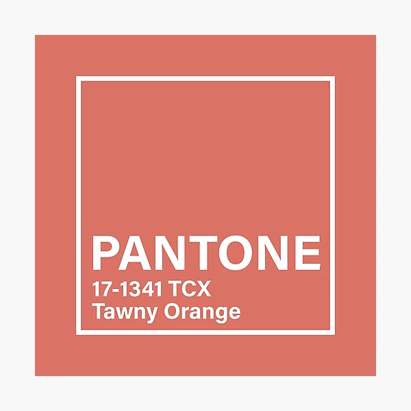 pantone 17-1341 TCX Tawny Orange Coffee Mug for Sale by princessmi-com