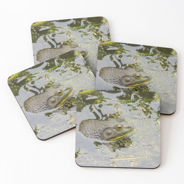 Item preview, American Bullfrog Side-View Swamp designed and sold by DragonCGallery.
