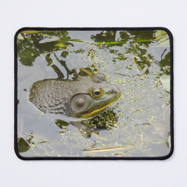 Item preview, American Bullfrog Side-View Swamp designed and sold by DragonCGallery.