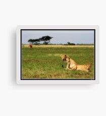 Targeted Canvas Print