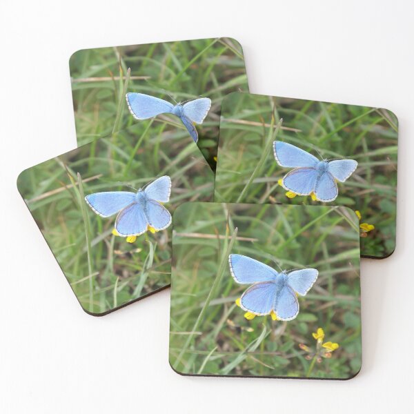 Item preview, Adonis Blue designed and sold by woolleyfir.