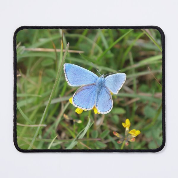 Item preview, Adonis Blue designed and sold by woolleyfir.