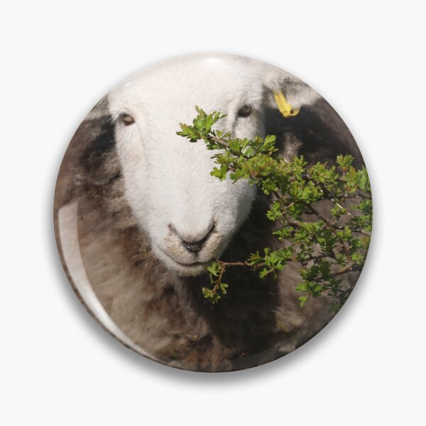 Item preview, Herdwick hedge trimmer designed and sold by woolleyfir.