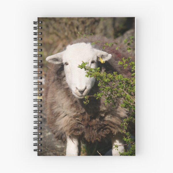 Item preview, Herdwick hedge trimmer designed and sold by woolleyfir.