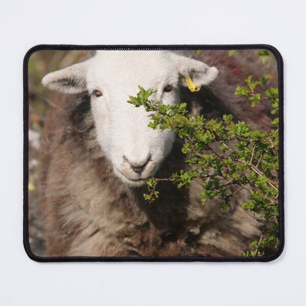 Item preview, Herdwick hedge trimmer designed and sold by woolleyfir.