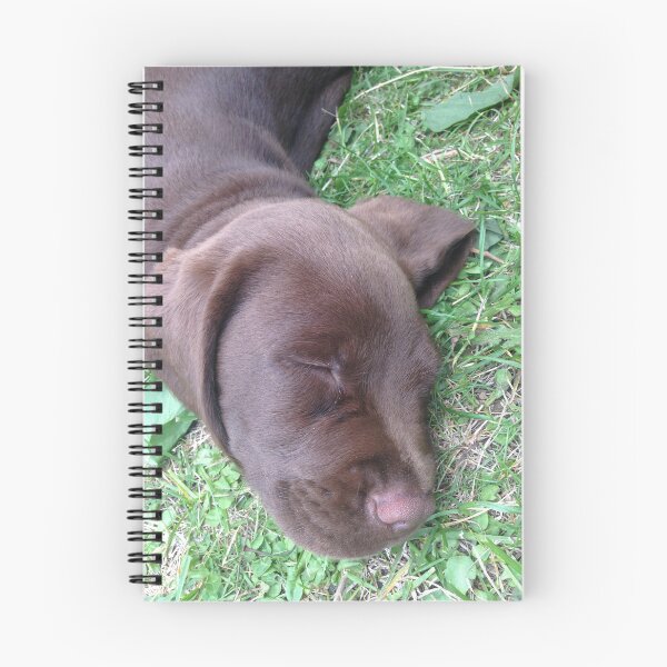 Item preview, Nuunu the Sleeping puppy designed and sold by Angelika Kjeller.