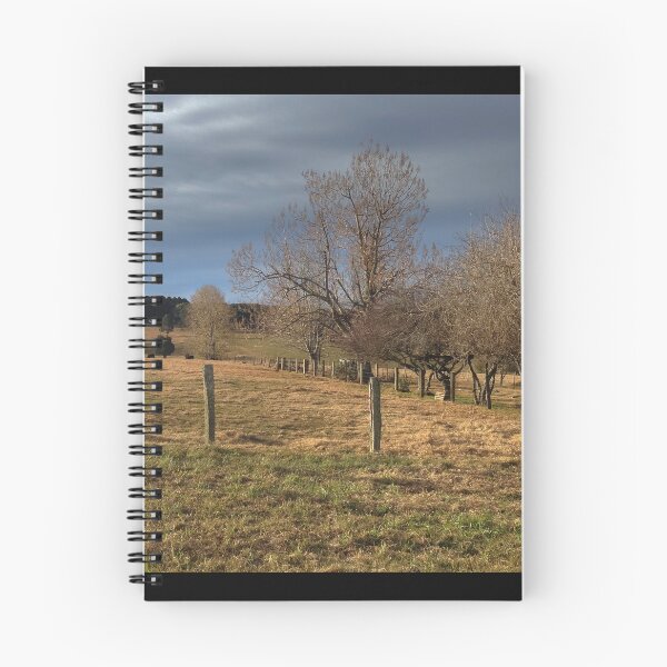 Item preview, North Dorrigo Winter Sun designed and sold by Clare Colins.