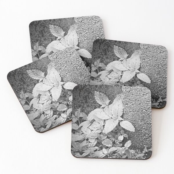Item preview, Plants Growing With Stone designed and sold by MutedCarbon.
