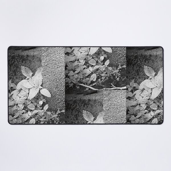 Item preview, Plants Growing With Stone designed and sold by MutedCarbon.