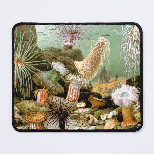 Item preview, SEA ANEMONES ,OCEAN SEA LIFE SCENE ACTINIARIA designed and sold by BulganLumini.
