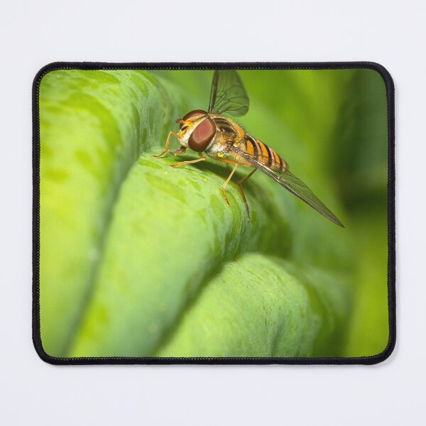Item preview, A hover fly designed and sold by cmphotographs.