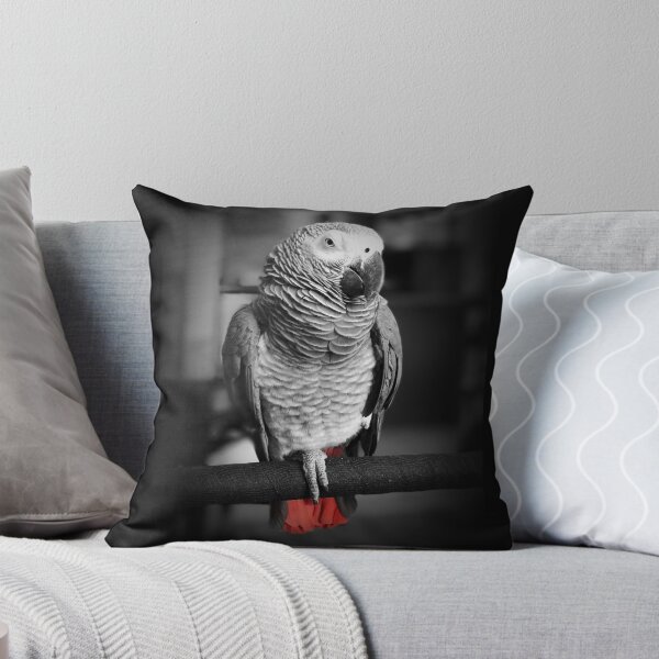 Item preview, African Grey Parrot Photograph designed and sold by emilyjune91.