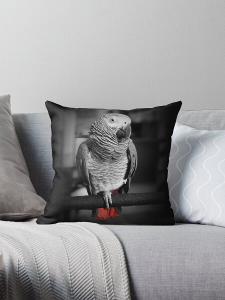 Item preview, African Grey Parrot Photograph designed and sold by emilyjune91.