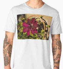 Velvety Hot Summer - Cardinal Clematis in the Sunshine Men's Premium T-Shirt