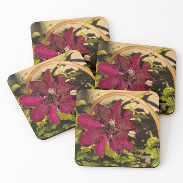 Item preview, Velvety Hot Summer - Cardinal Clematis in the Sunshine designed and sold by Georgia Mizuleva.