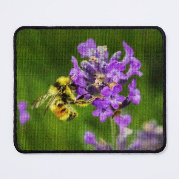 Item preview, Hardcover Journals Bee G71N190013 designed and sold by Gio71Nico19.