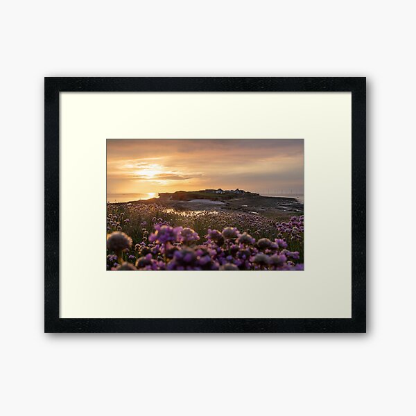 Hilbre Sunset Thrift Framed Art Print