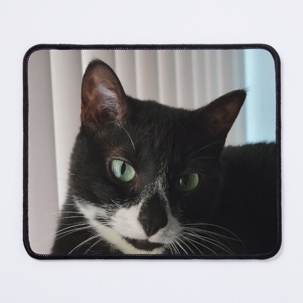 Item preview, Tuxedo cats designed and sold by imyournightmare.