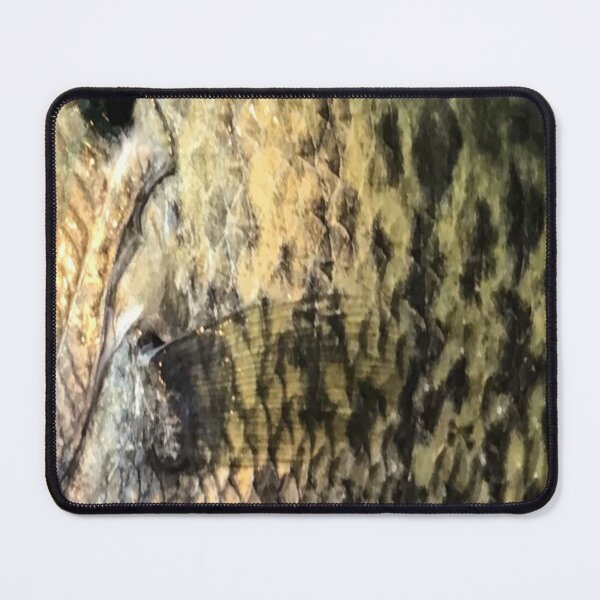 Item preview, White Crappie Skin (Natural) Fish Scales Pattern  designed and sold by CJRPics.