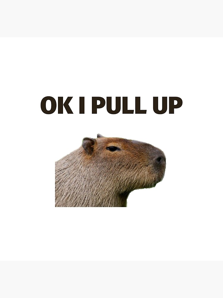 ok-i-pull-up-capybara-poster-for-sale-by-martw-redbubble