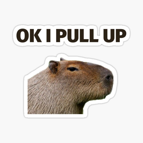 Capybara Meme Gifts & Merchandise for Sale