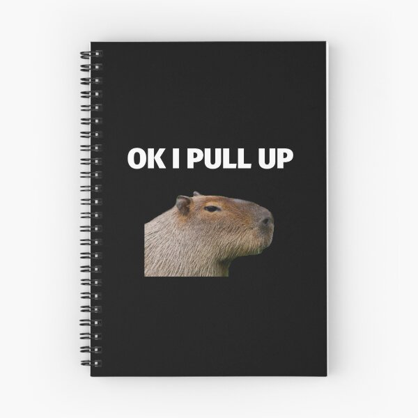 Artikelvorschau, Capybara Meme - Ok, ich ziehe hoch entworfen und verkauft von SimpleUniverse.