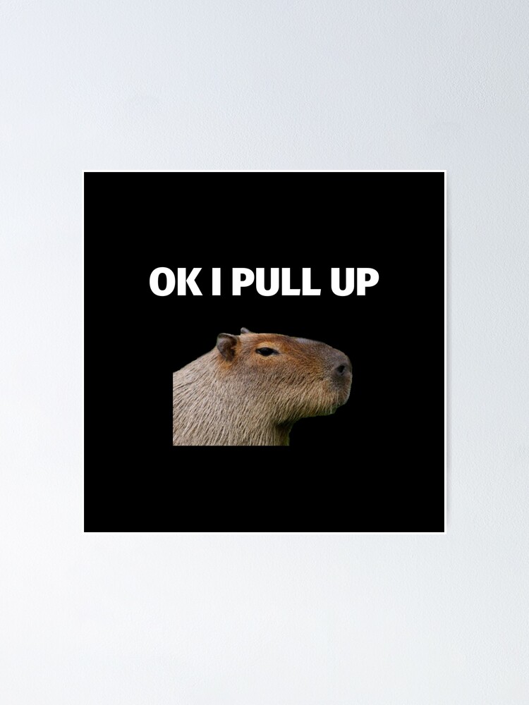 Capybara Meme Posters for Sale