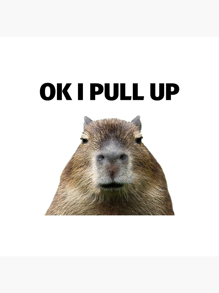 Charming Capybara