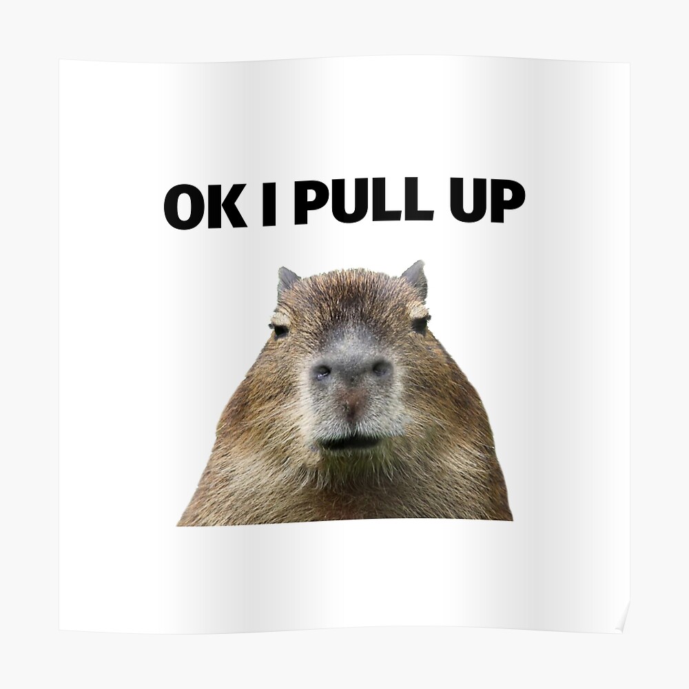 IPhone 12 Pro Max Happybara Funny Capybara Meme Happy Capybaras Hugging ...