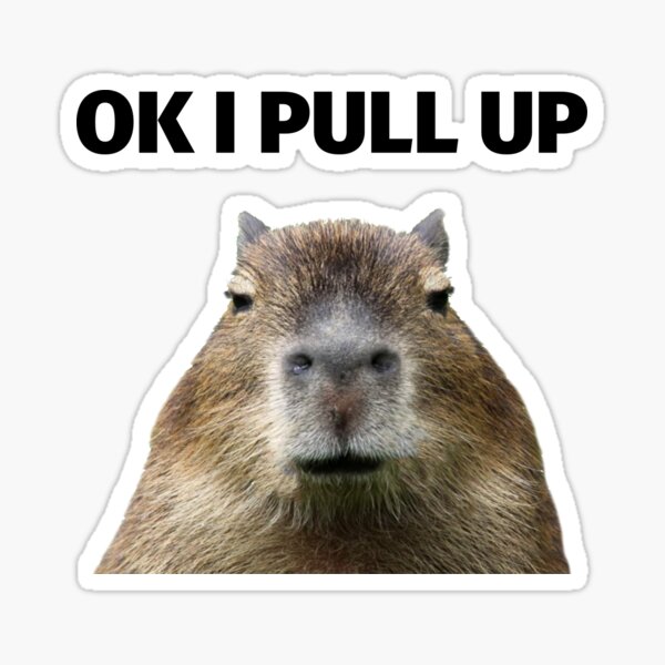 Capybara Meme Gifts & Merchandise for Sale