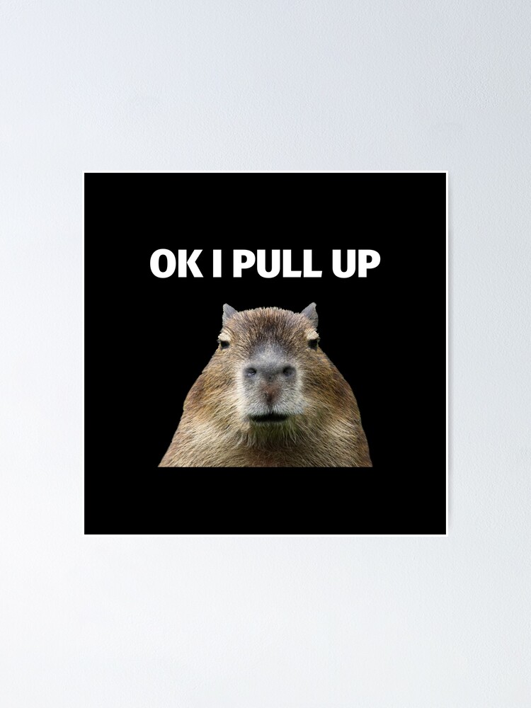 Capybara Meme Posters for Sale