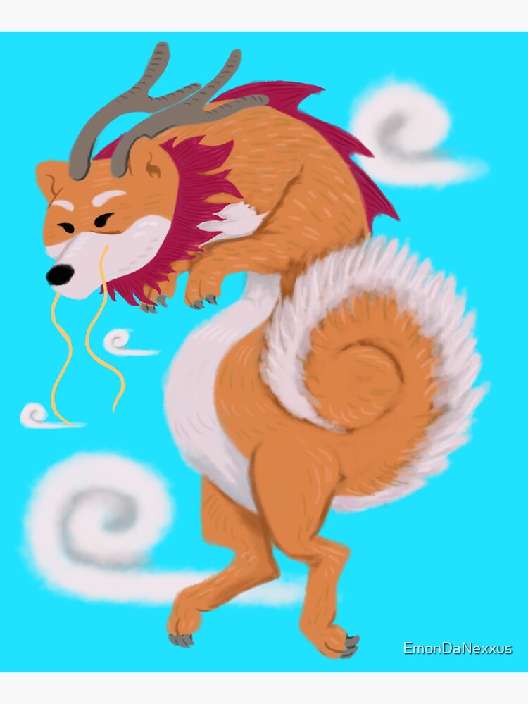 shiba dragon