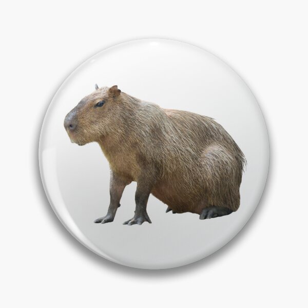 Item preview, Capybara Sitting designed and sold by SimpleUniverse.