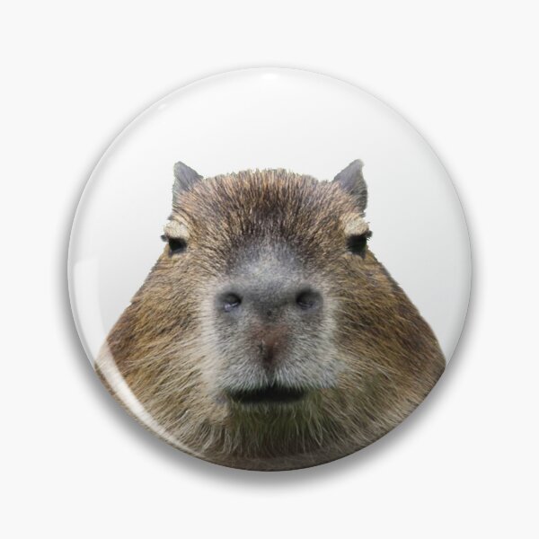 Item preview, Capybara designed and sold by SimpleUniverse.