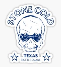 Texas Skull Sticker