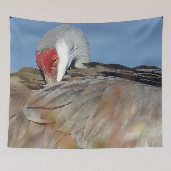 Item preview, Sleepy Sandhill Crane designed and sold by Jeffrey Mask.