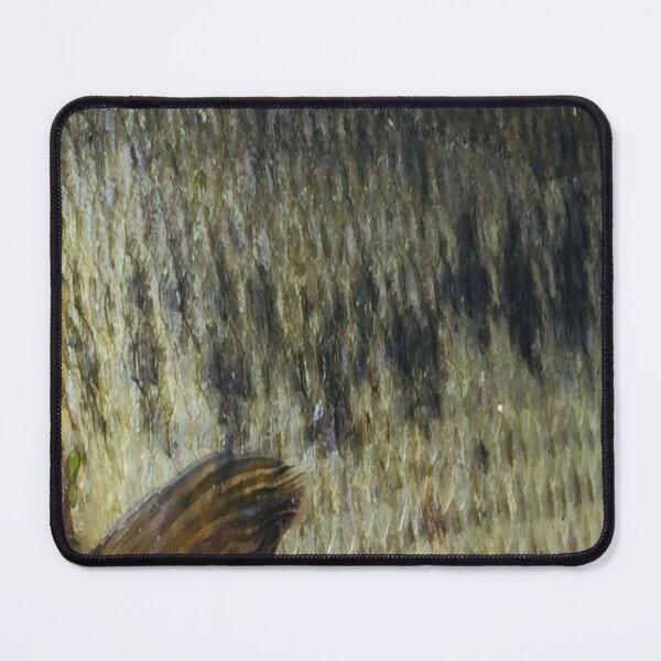 Item preview, Largemouth Bass Skin (Natural) Fish Scale Pattern designed and sold by CJRPics.
