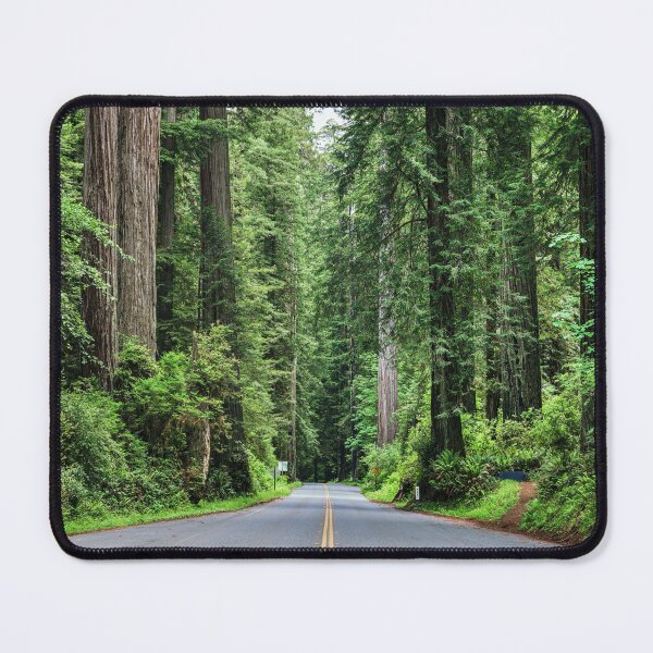 Item preview, Redwood National and State Park Photography designed and sold by Tjokko-chan.