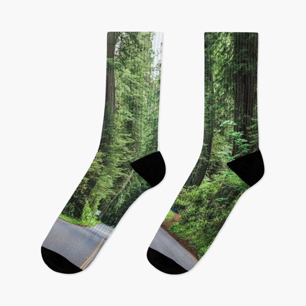 Item preview, Redwood National and State Park Photography  designed and sold by Tjokko-chan.