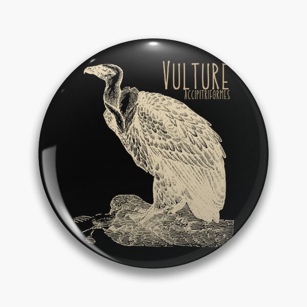 Item preview, Vulture Accipiriformes Engraving Drawing Design designed and sold by EarthArtDesigns.