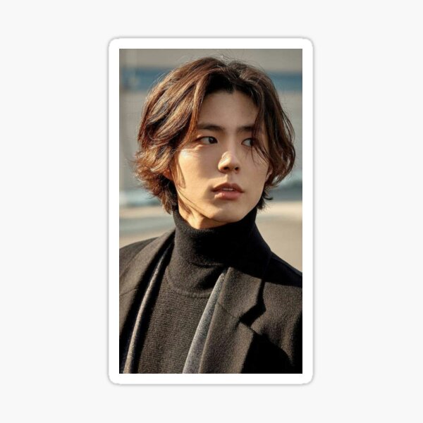 Park Bo Gum Long Hair Poster Poster for Sale by yoshikonbh