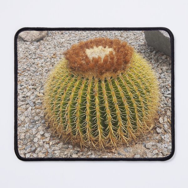 Item preview, Barrel Cactus designed and sold by blakcirclegirl.