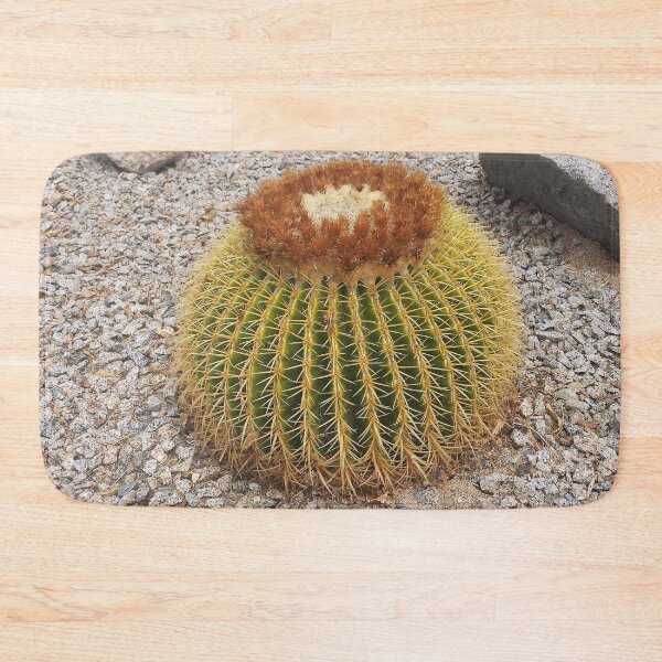 Item preview, Barrel Cactus designed and sold by blakcirclegirl.