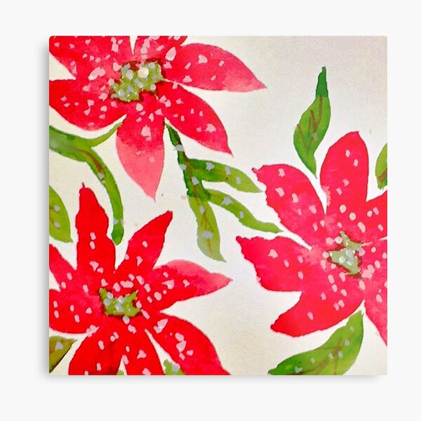 Poinsettias Metal Print